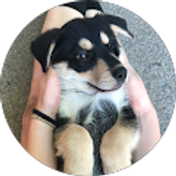 Profile photo of Candice Wainschel