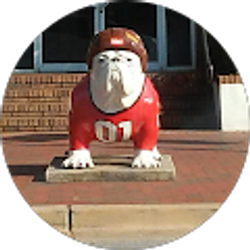 Profile photo of Mike Stone