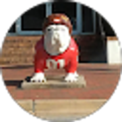 Profile photo of Mike Stone