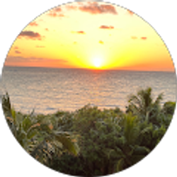 Profile photo of Deanna Shapiro