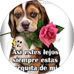 Profile photo of Maria Pineda