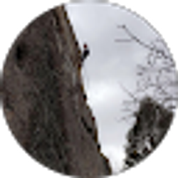 Profile photo of Aidan Patrick