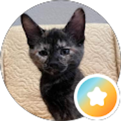 Profile photo of oppositesleeper