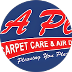 Profile photo of Anthony Soto