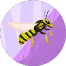 Profile photo of Elizabeth daSilva