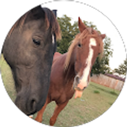 Profile photo of David Harris