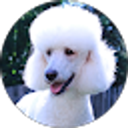 Profile photo of Susan Xu