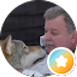 Profile photo of Donald Cuffel