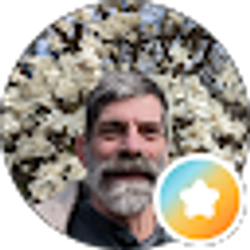 Profile photo of David Tagliente
