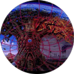 Profile photo of Dylan C