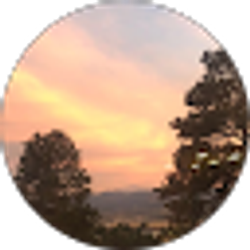 Profile photo of joe galvin