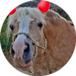 Profile photo of Susan Remillard