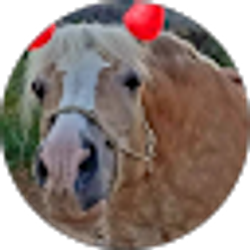Profile photo of Susan Remillard