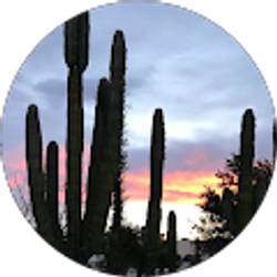 Profile photo of Tamara Harry