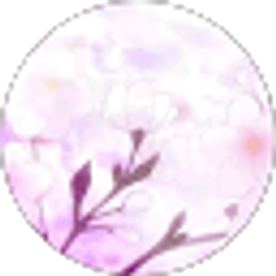 Profile photo of Cali Rose