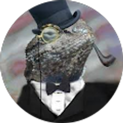 Profile photo of LightlySalted