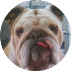 Profile photo of Michelle Sandoval