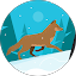Profile photo of Curious coyote