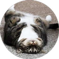 Profile photo of Blake Thomas