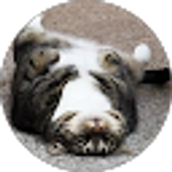 Profile photo of Blake Thomas