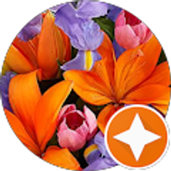 Profile photo of Bhat P