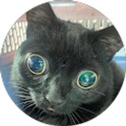 Profile photo of Kennedy Kirk