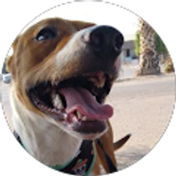 Profile photo of Candy Gutierrez