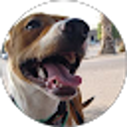 Profile photo of Candy Gutierrez