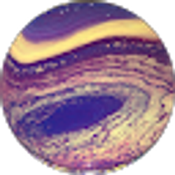 Profile photo of Jody Dixon