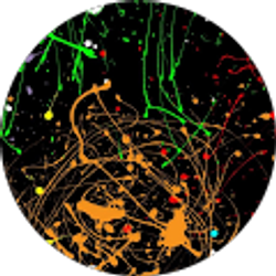 Profile photo of Kyle Heal