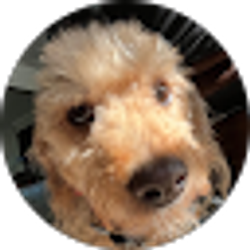 Profile photo of Marlo H