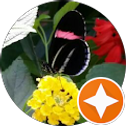 Profile photo of Terry Filicko