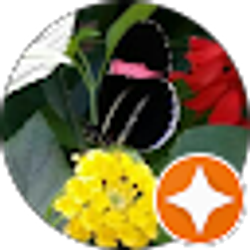 Profile photo of Terry Filicko