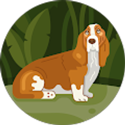 Profile photo of Diane Shelton