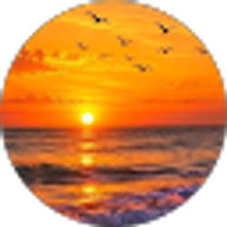 Profile photo of Paula