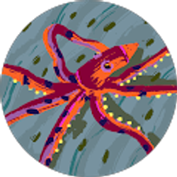 Profile photo of kelcey cummins