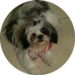 Profile photo of Glenda Malone LaFaye