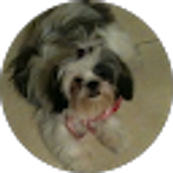 Profile photo of Glenda Malone LaFaye