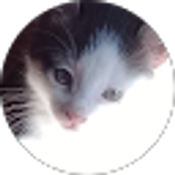Profile photo of Planetary Tapestry