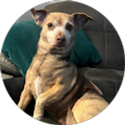 Profile photo of Yolanda gutierrez