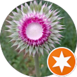 Profile photo of Shoshannah “Shanna” Jonathan