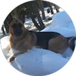 Profile photo of Issac Cook