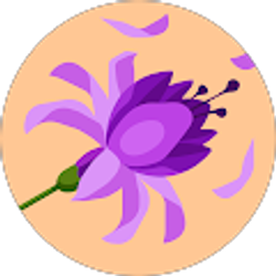 Profile photo of Kay Wollenburg