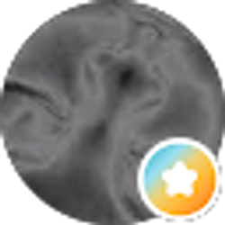 Profile photo of Elonda Razor