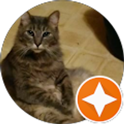 Profile photo of Tonya McCullough