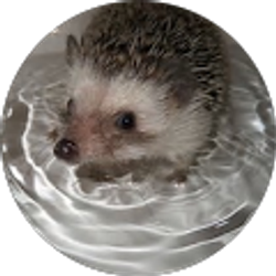 Profile photo of Just Visiting This Planet