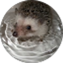 Profile photo of Just Visiting This Planet