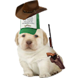 Profile photo of Gunnar Link