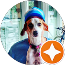 Profile photo of Chase Morrow