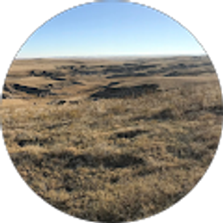 Profile photo of Joseph W Johndreau